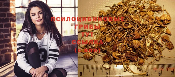 гашик Баксан