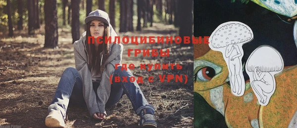 гашик Баксан