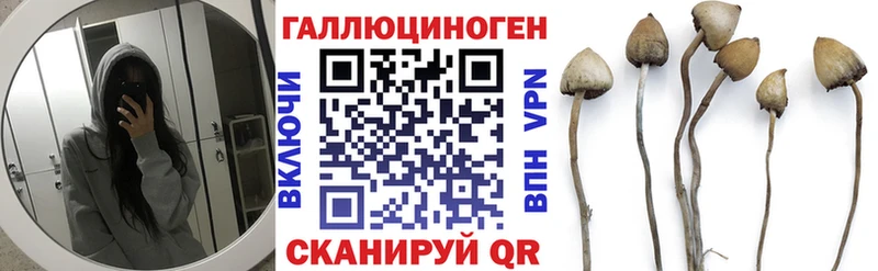 это как зайти  наркошоп  Шелехов  Галлюциногенные грибы прущие грибы 
